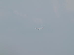 Img_0234