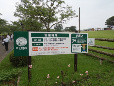 P6230746