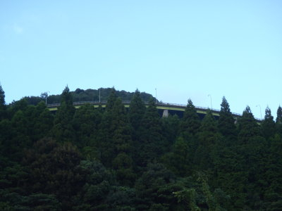 P9211589