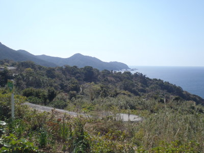 P3110228