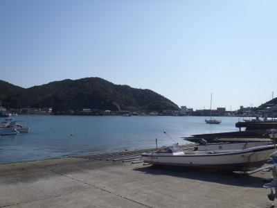 P3110237