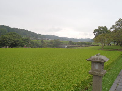P9080526