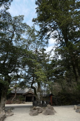P1000466