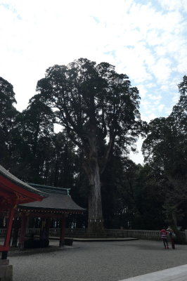 P1000482_2