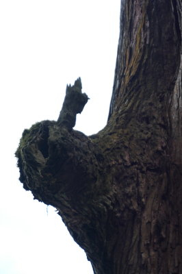 P1000486