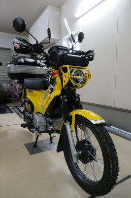 P1000541