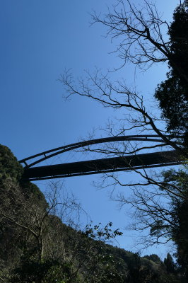 P1000580