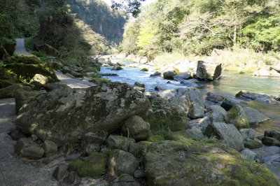 P1000584