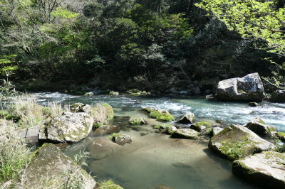 P1000588
