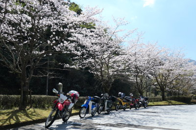 P1000608_2