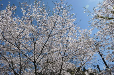 P1000655