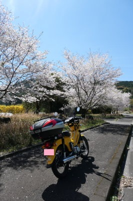 P1000672