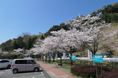 P1000712