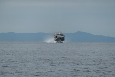P1001052_2