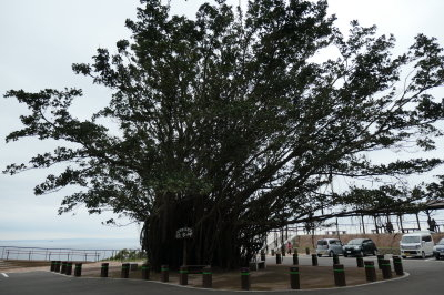 P1001113
