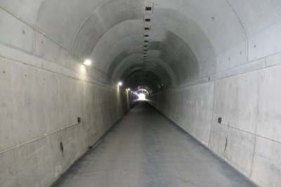 P1001119