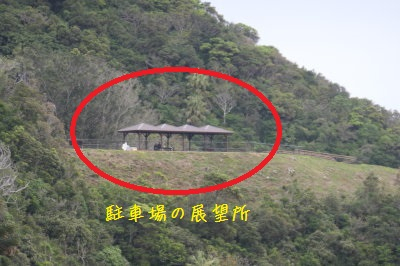 P1001161
