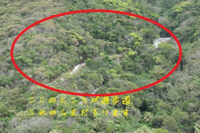 P1001164
