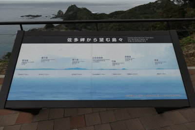 P1001224