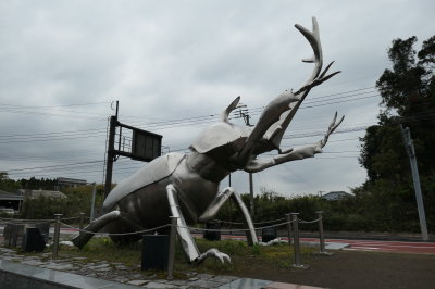 P1001241