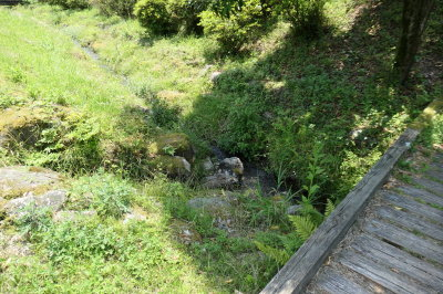P1000366