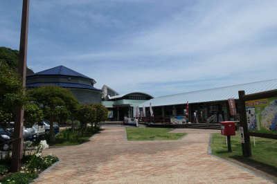 P1000571