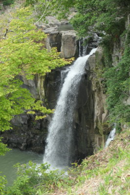 P1000676