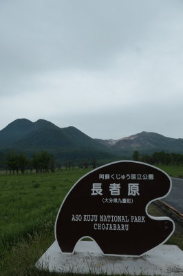 P1000818