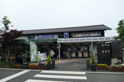 P1000856