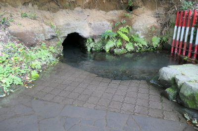 P1000956