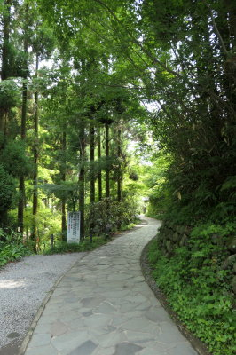 P1000959