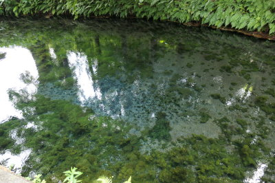 P1000995