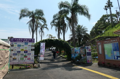 P1011114
