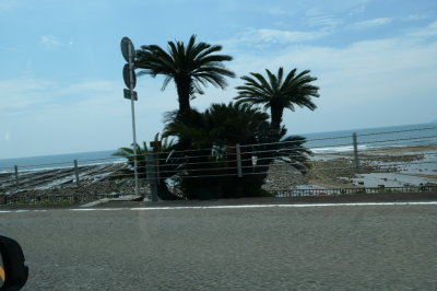 P1011162