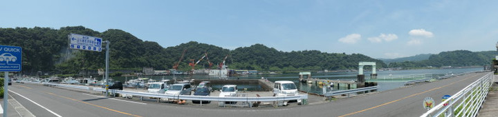 P1011493_2