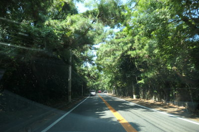 P1033143