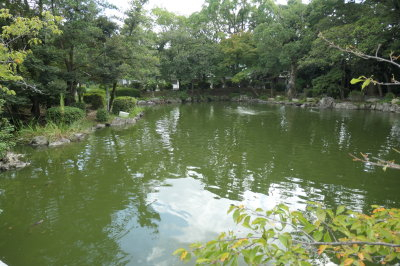 P1033257