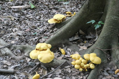 P1033352