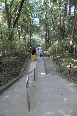 P1033357