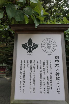 P1033378