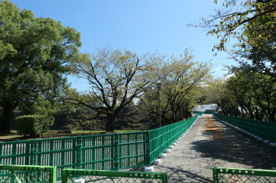 P1033487