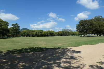 P1033507