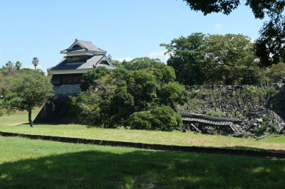 P1033519
