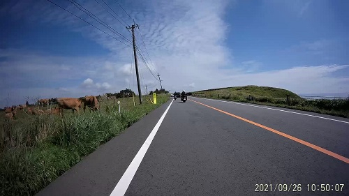 F_20210926102338_20210926105008_n_0